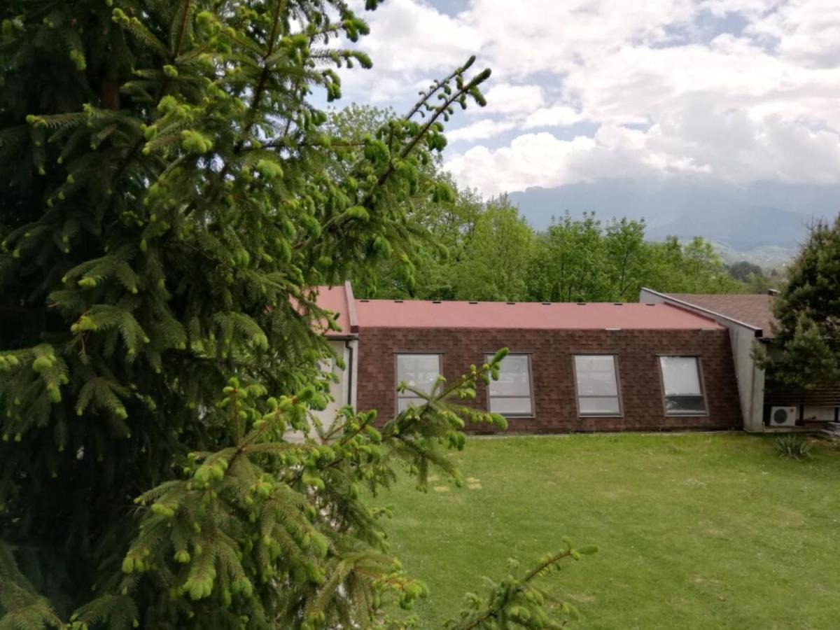 Pensiunea Muntele Rece Bran  Buitenkant foto