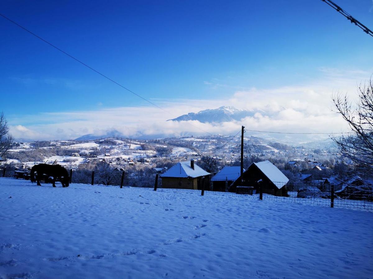 Pensiunea Muntele Rece Bran  Buitenkant foto