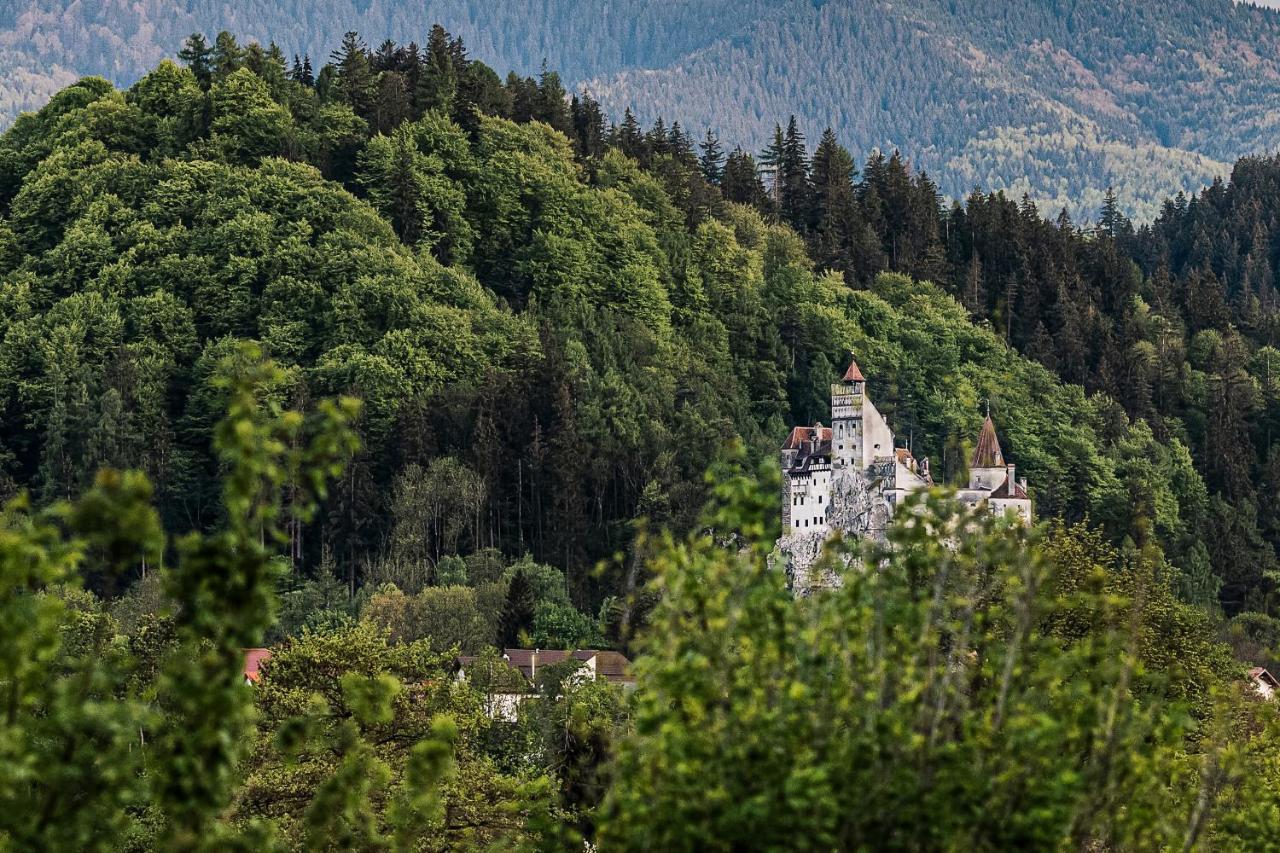 Pensiunea Muntele Rece Bran  Buitenkant foto